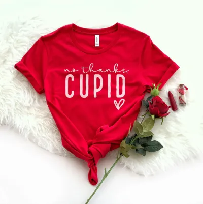 No Thanks Cupid Valentine's Day Shirt, Valentines Day Gift, Couples Gift, Love Tee, Girlfriend Gift,Funny Love Heart, Love Tee, Youth Tee